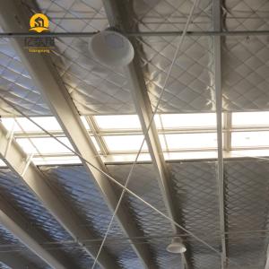 Large Span Steel Frame Building 30m+ with Q355/Q235 Frame