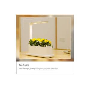 Buy cheap 318mm Vegetable Planting 12V 9W Home Hydroponics Kit from wholesalers