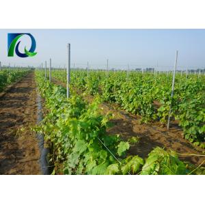 Buy cheap 1.5mm 2.0mm 50x40mm Metal Vineyard Trellis Posts With H Holes from wholesalers