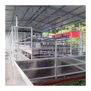 Buy cheap Sheep 100 Points Herringbone Milking Parlor automatic milking system from wholesalers