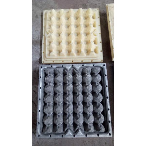 Quality Customizable Egg Carton Mold , Plastic Tray Mold EDM Service for sale