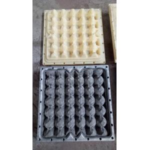 Buy cheap Customizable Egg Carton Mold , Plastic Tray Mold EDM Service from wholesalers