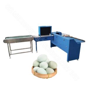 Buy cheap 304 Stainless Steel Poultry Small Egg Grader Weight Classify Sorter Machine from wholesalers