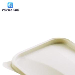Takeaway Sugarcane Bagasse Food Container Biodegradable Disposable With