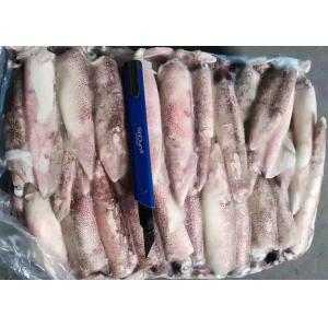 Buy cheap Loligo squid Chinensis Freshness Squid from wholesalers