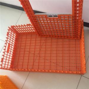 Broiler Poultry Carrier Crate Farming Plastic Agricultural Crates