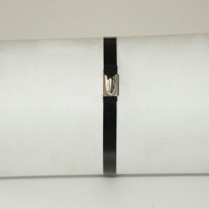 Buy cheap UV Resistant Black 316 Stainless Steel Cable Ties Polyester Coated SS Zip Ties product