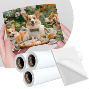 Buy cheap 108gsm Waterproof Pigment Dye Inkjet Matte Coated Label Sticker Paper from wholesalers