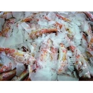 2250 KG Large Capacity 10 Ton Flake Ice Machine For Freshwater And Saltwater