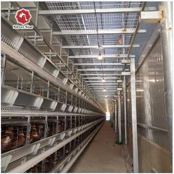 Quality Broilers 4 Tiers Chicken Poultry Cage Automatic Manure Removal System for sale