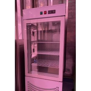 Hydroponic Smart Farming Container Greenhouse for Agriculture 40ft Container