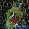 Buy cheap BWG18-22 Hexagonal Wire Mesh Reverse Twist Rabbit Wire Mesh from wholesalers