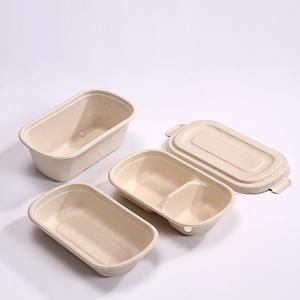 850ml Compostable Sugarcane Bagasse Takeaway Eco Friendly Disposable Lunch Boxes