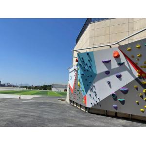Buy cheap Professional Indoor Climbing Wall Climbing Holds Custom Moisture Proof from wholesalers