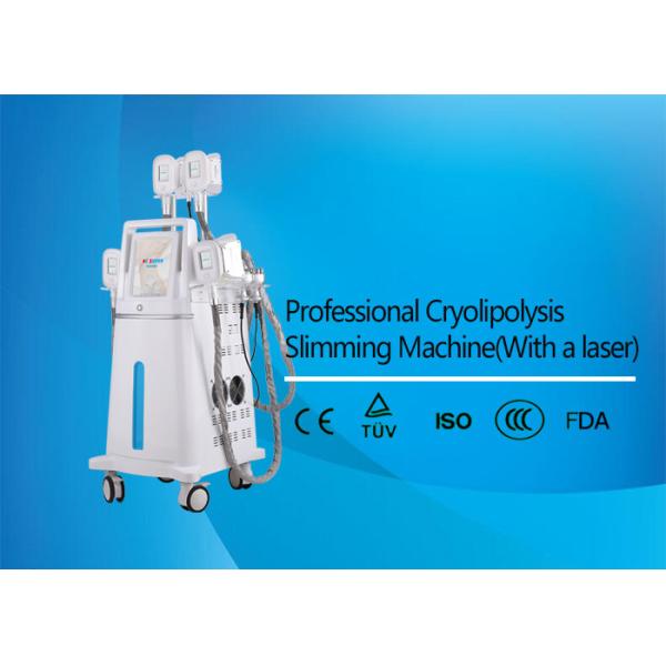 Quality Weight Loss Equipment Slimming Machine , Cryolipolysis Fat Loss Machines for sale
