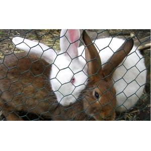 Buy cheap hot sale Rabbit Proof Netting manufacturer from wholesalers