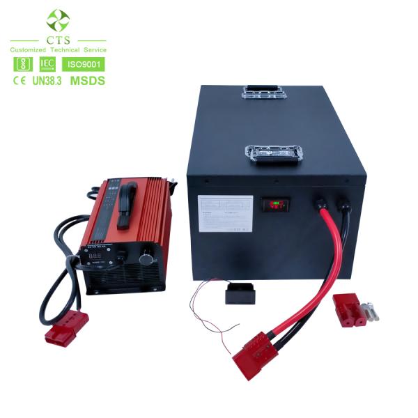 48V 100Ah LiFePO4 battery pack for golf car