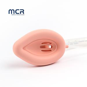 Buy cheap Disposable Laryngeal Mask Airway with Flexible Tube and Soft Cuff for Easy Insertion from wholesalers