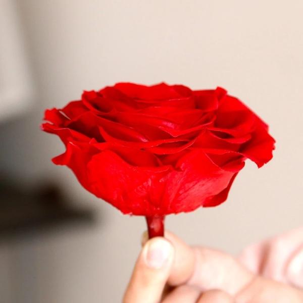 Buy cheap New Technique Preserved Rose Handmade Real Forever Giant Rose from wholesalers