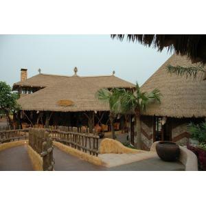 Buy cheap Artificial Synthetic Simulation Thatch Roof Material for Thatched Roof 500*500mm Size from wholesalers