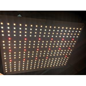 Buy cheap Internal Bonding 6500k ETL Led Quantum Board from wholesalers