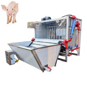 Buy cheap 380V 50HZ Pig Dehairer And Scalding Machine Pig Dehairing Machine from wholesalers