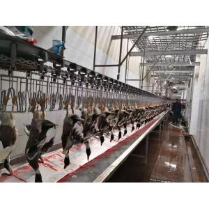 Multifunctional Chicken Turkey Slaughtering Machine Poultry Slaughter Line