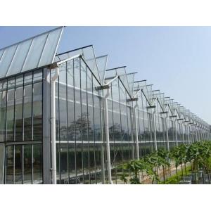 Buy cheap Simple Constructure Commercial Glass Greenhouse With Galvanized Steel Screws / Bolts from wholesalers