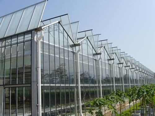Buy cheap Simple Constructure Commercial Glass Greenhouse With Galvanized Steel Screws / Bolts from wholesalers