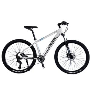 Buy cheap Steel Frame Mountain Bike With Front And Rear Wheel Disc Brake from wholesalers