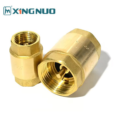 Brass Spring Check Valve 1/2 inch Check Valve Brass Male Thread Check Valve