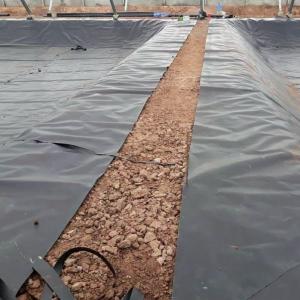High Density Polyethylene Fish Pond Rubber Lining with Customizable Thickness