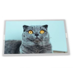 Buy cheap TM150TDSG52  15 Inch TFT LCD Display Module 1024*768 Resolution Panel from wholesalers