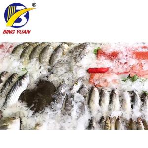 220V Ice Flake Making Machine