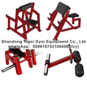 Buy cheap Gym Fitness Equipment Fore Arm Curl / Seated Arm Curl / Arm curl machine exercise machine from wholesalers
