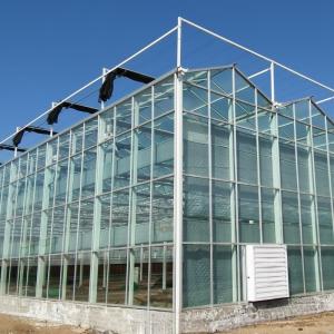 Vegetables Farm Glass Green House with Eaves Height 3m-8m Optimal Growing
