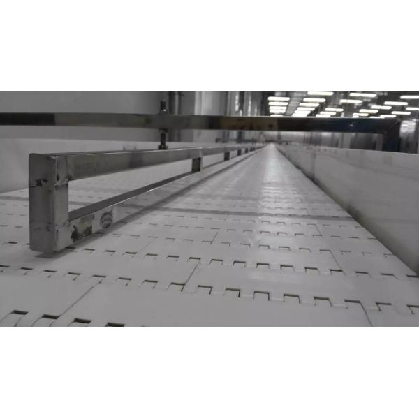Quality                  System Stainless Steel Conveyor Belt Conveyor Belt with Rollers              for sale