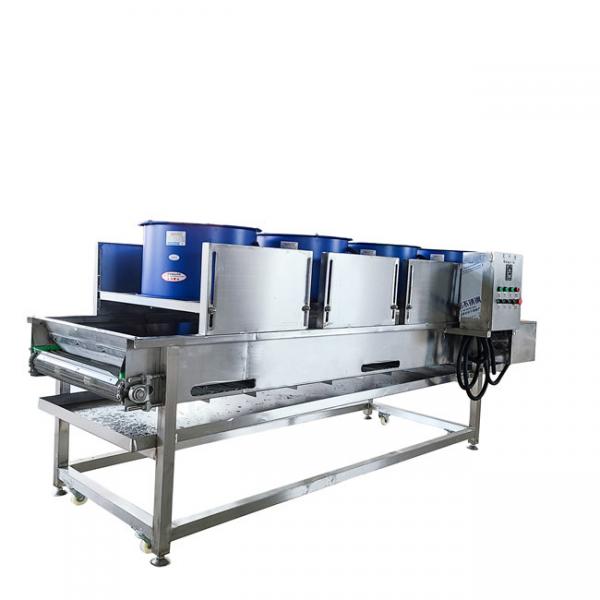 Quality 220V 800mm Belt 900kg/H Fruit And Vegetable Dryer Machine for sale