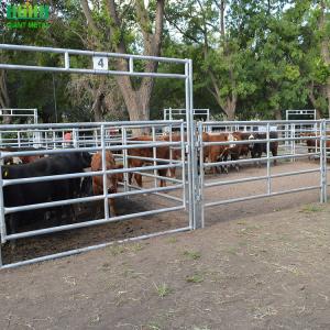 Buy cheap Galvanized Oval Tube Animal Fencing Panels For Cattles from wholesalers