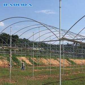 Buy cheap Dome Roof Structure Strong Plastic Greenhouse With Inside Shading System from wholesalers