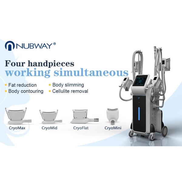 Buy cheap Cryolipolysis fat freeze slimming machine 3d cryolipolysis machine from wholesalers
