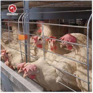 The Four-tier Battery Cage System Includes Automatic Ventilation, Housing Up To