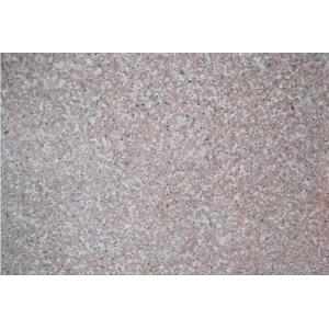 China Natural and High Quality Wall Covers Granite G681 on sale