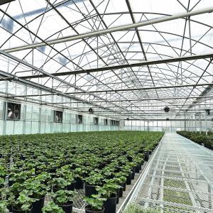 Buy cheap Steel Tructure UV Resistant Film Poly Tunnel Multi-span Vegetable Greenhouse for Tomatoes from wholesalers