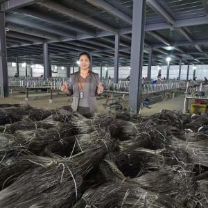 Buy cheap Ukraine 10*10*1.1-1.4m Invisble Wire Mesh With 0.5 -0.9mm Steel Wire For Low Visible Wire Putanka MZP Anti Tank Barrier Fence from wholesalers