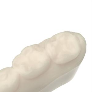 Orthodontic Modeling Resin Dental 3d Printing Resin Realistic