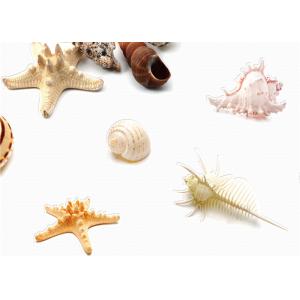 Buy cheap Eco-Friendly Mediterranean Style Non-Woven Wallpaper With Conch And Starfish Printing from wholesalers