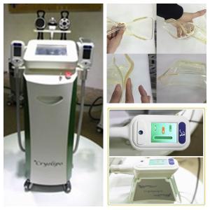 Buy cheap multi-polar RF cryolipolysis slimming machine fat freezing cryolipolysis machine from wholesalers
