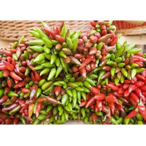 GMP Dried Birds Eye Chilli Peppers Chinese With Seeds 15000SHU