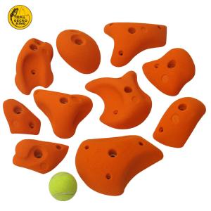 10-Piece Gecko King 2018 Rock Climbing Wall Holds in Different Colors for